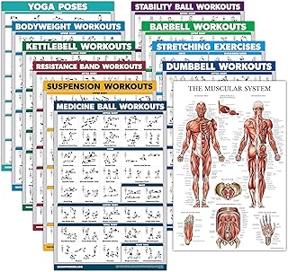 11 Pack - Exercise Poster Set, Dumbbell, Suspension, Kettlebell, Resistance Bands, Stretching, Bodyweight, Barbell, Yoga, Exercise Ball, Muscular System, Medicine Ball (LAMINATED, 18" x 24")