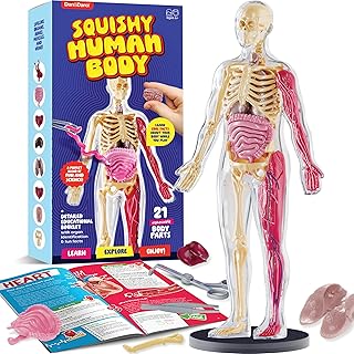 Dan&Darci Human Anatomy Squishy Body Model - Science Kits for Kids Ages 4-8 - STEM Toys for 4 5 6 7 8 Year Old Boy Birthday Gift - Learning Educational Toys for Ages 5-7 Boys Gifts - Skeleton Parts
